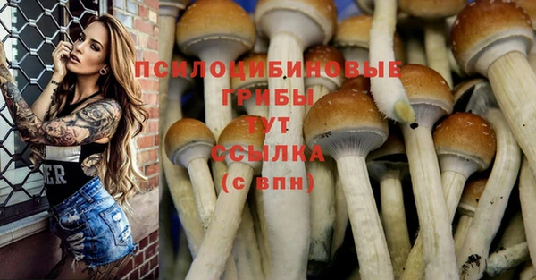 скорость Баксан