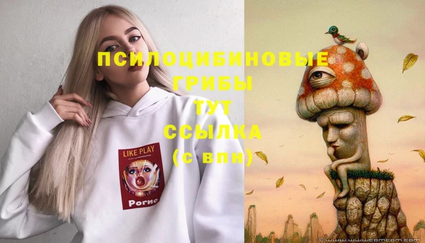 скорость Баксан